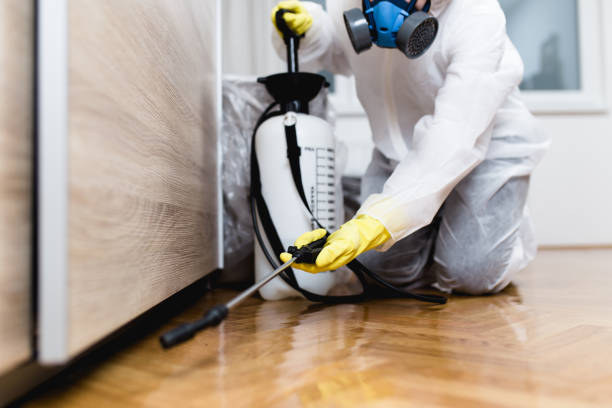 Best Affordable Pest Control Services  in Goulds, FL