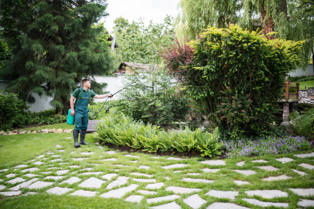 Best Mosquito Control Services  in Goulds, FL