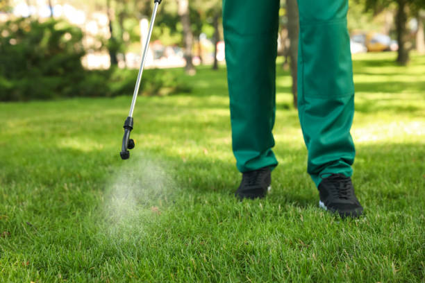 Best Exterminator Services  in Goulds, FL