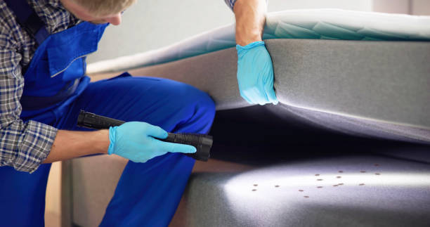 Best Pest Control Near Me  in Goulds, FL