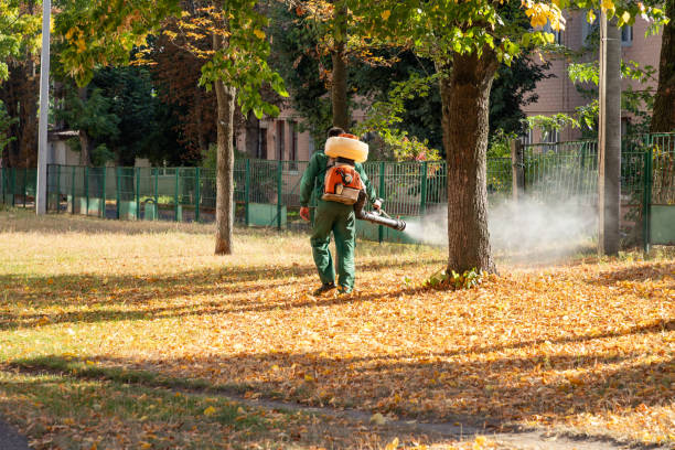 Professional Pest Control in Goulds, FL