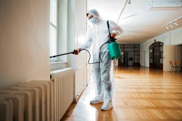 Best Rat Extermination Near Me  in Goulds, FL
