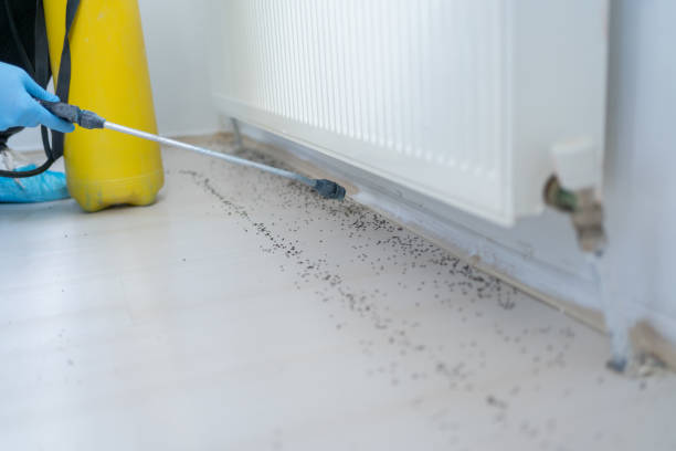 Best Best Pest Control Companies  in Goulds, FL