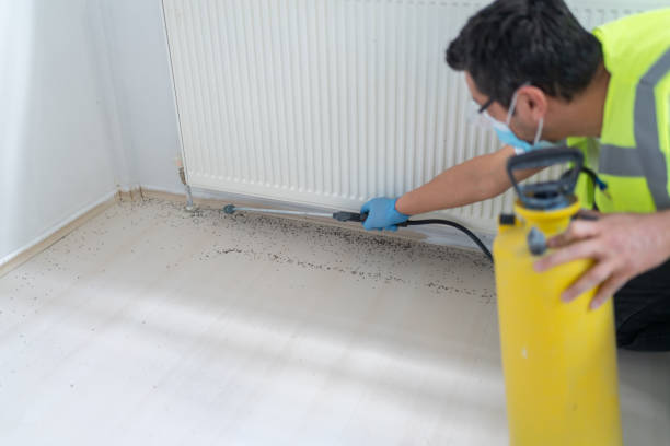 Best Wasp Removal Services  in Goulds, FL
