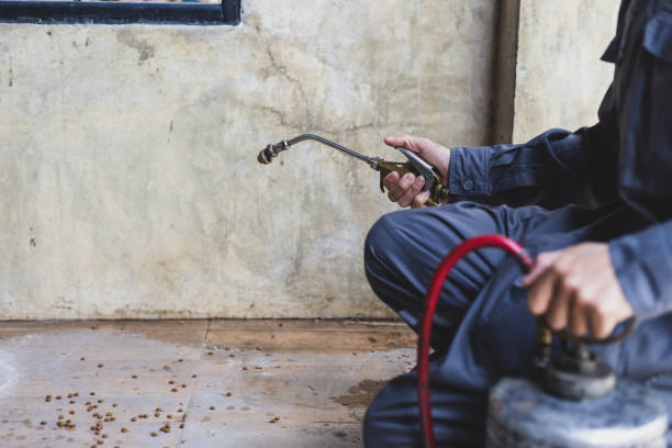 Best Residential Pest Control  in Goulds, FL