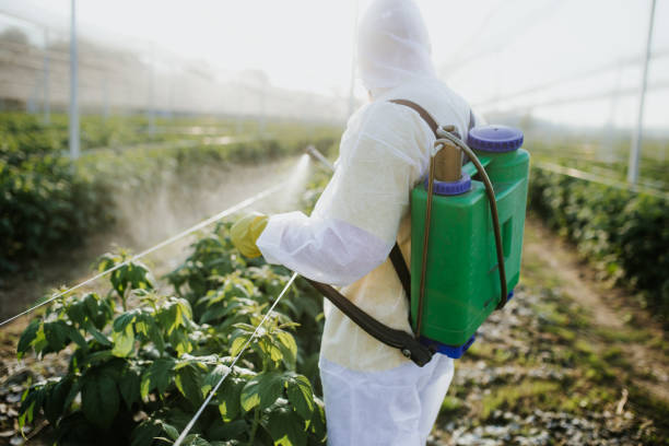 Best Pest Inspection Near Me  in Goulds, FL